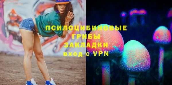 соль ск Вяземский