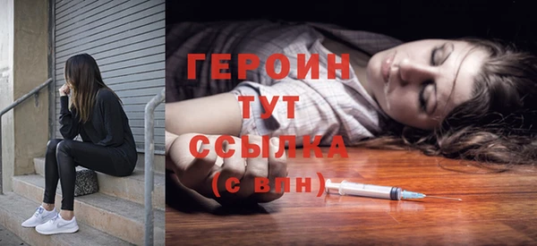 сатива Новокубанск